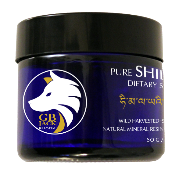 Pure Shilajit Resin