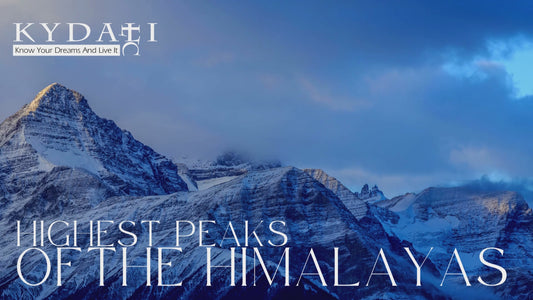 Pure Shilajit Resin